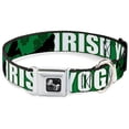 thumbnail image 1 of Buckle Down Buckle-Down Pet Seatbelt Buckle Dog Collar, 1 of 1