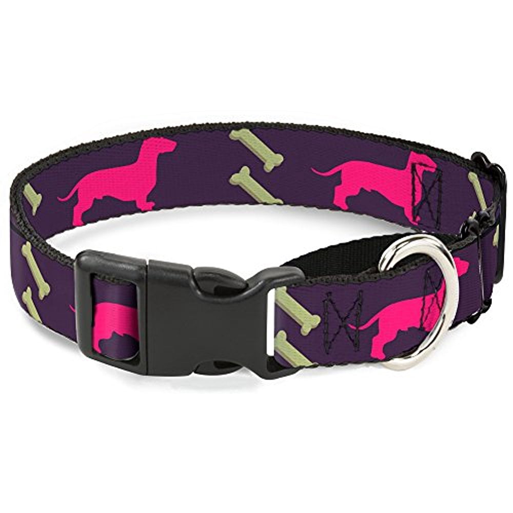 Buckle-Down Dachshunds & Bones Purple Fuchsia Green Martingale Dog Collar