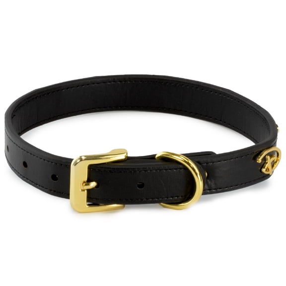 Buckle-Down Dog Collar, Disney, Signature D Logo Charms, Small 8 to 12 Inch Length 0.5 Inches Wide