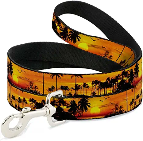 Buckle-Down Dog Leash Girls Posing Film Strip White Black Available in Different Lengths and Widths for Small Medium Large Dogs and Cats