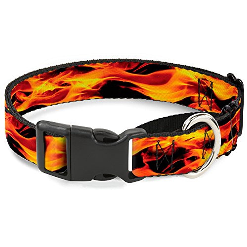 Buckle-Down Flames Vivid Black Orange Martingale Dog Collar