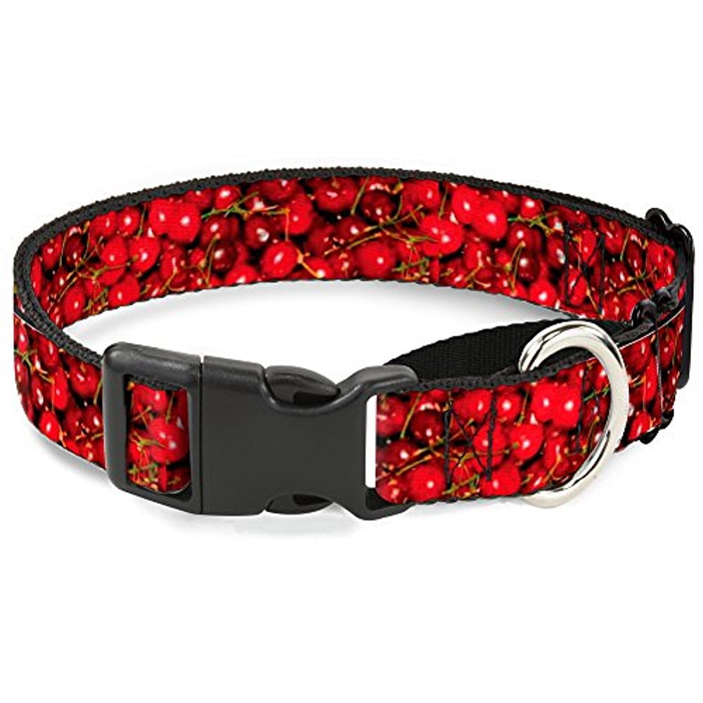Buckle-Down Fresh Cherries Stacked Martingale Dog Collar