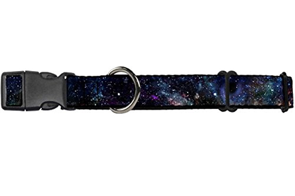 Buckle-Down Galaxy Collage Martingale Dog Collar