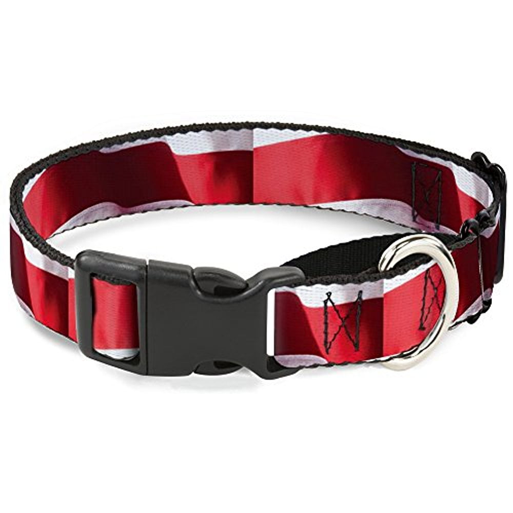 Buckle-Down MGC-W30161-L Martingale Dog Collar