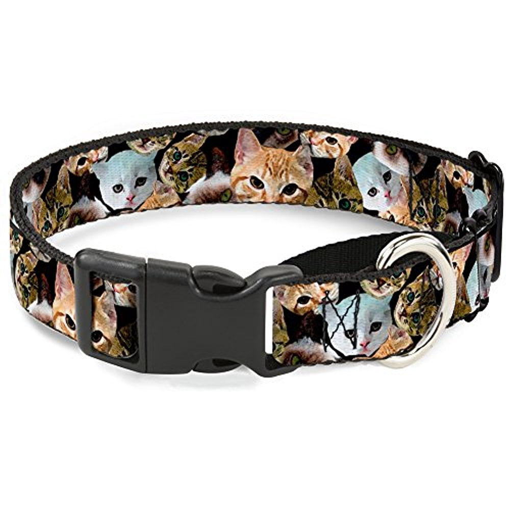 buckle-down mgc-w31107-l kitten faces scattered black martingale dog collar