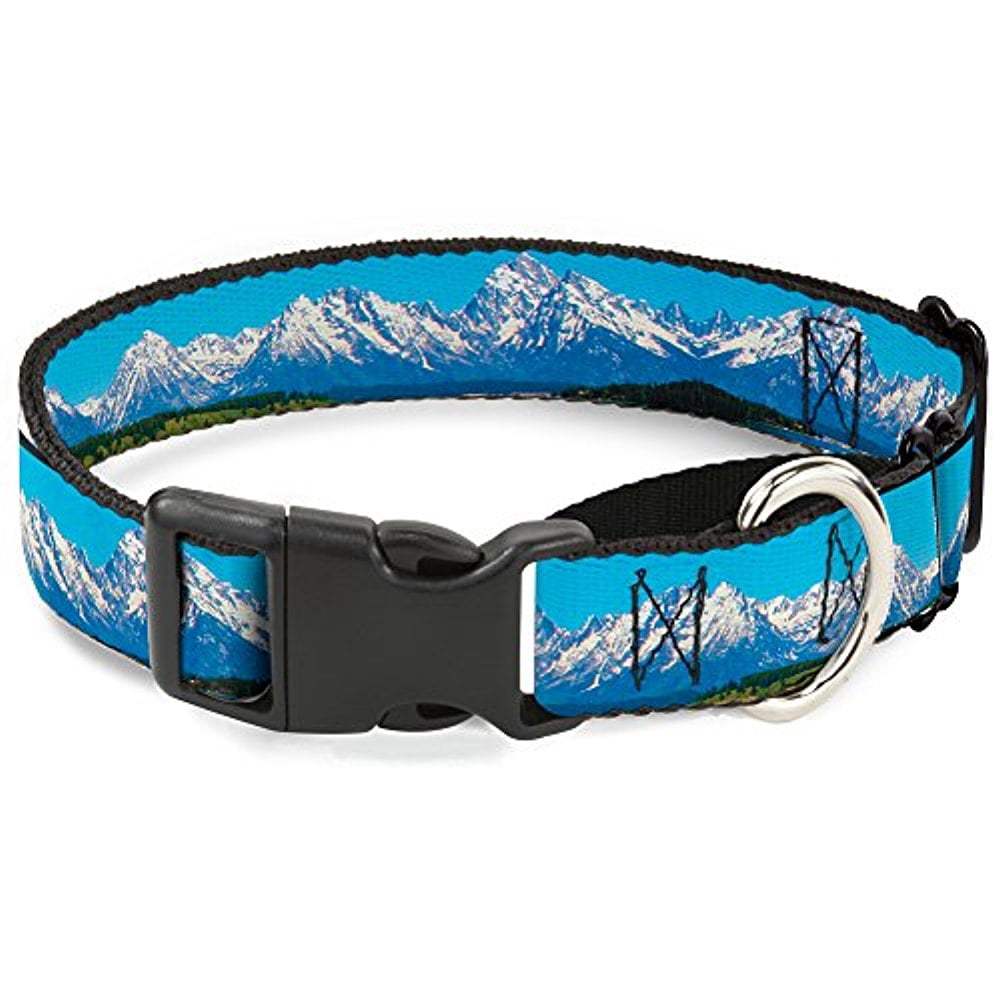 Buckle-Down MGC-W31282-L Landscape Snowy Mountains Martingale Dog Collar