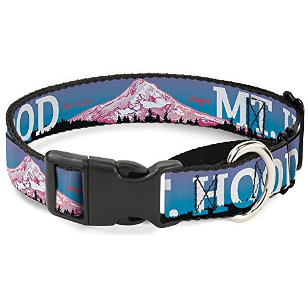 buckle-down martingale dog collar - oregon state silhouette blue yellow - 1" wide - fits 15-26" neck size - large