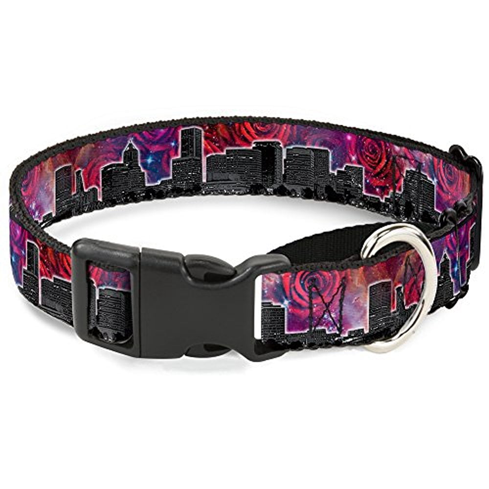 Buckle-Down Martingale Dog Collar - Portland Vivid Skyline Cosmic Roses - 1" Wide - Fits 15-26" Neck Size - Large