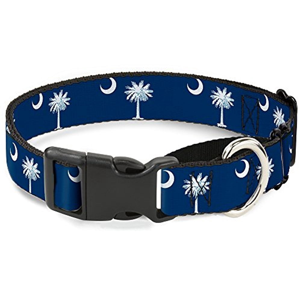 buckle-down martingale dog collar - south carolina