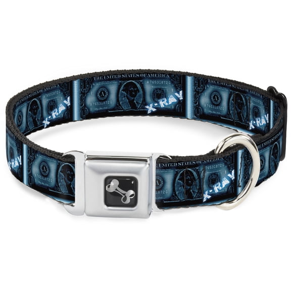Buckle-Down Pet Collar, Dog Collar Metal Seatbelt Buckle, 1 Dollar Bill X Ray, 9.5 to 13 Inches 1.0 Inch Wide