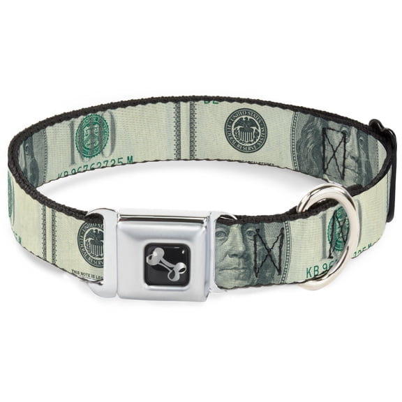 Buckle-Down Pet Collar, Dog Collar Metal Seatbelt Buckle, 100 Dollar Bill Close Up, 11 to 16.5 Inches 1.0 Inch Wide