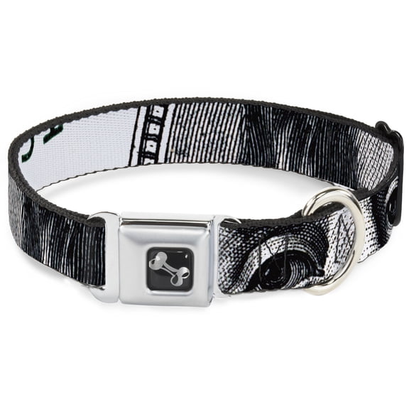 Buckle-Down Pet Collar, Dog Collar Metal Seatbelt Buckle, 100 Dollar Bill Close Up White Black, 9.5 to 13 Inches 1.0 Inch Wide