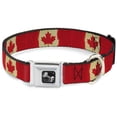 thumbnail image 1 of Buckle-Down Pet Collar, Dog Collar Metal Seatbelt Buckle, Canada Flag Painted, 11 to 16.5 Inches 1.0 Inch Wide, 1 of 8