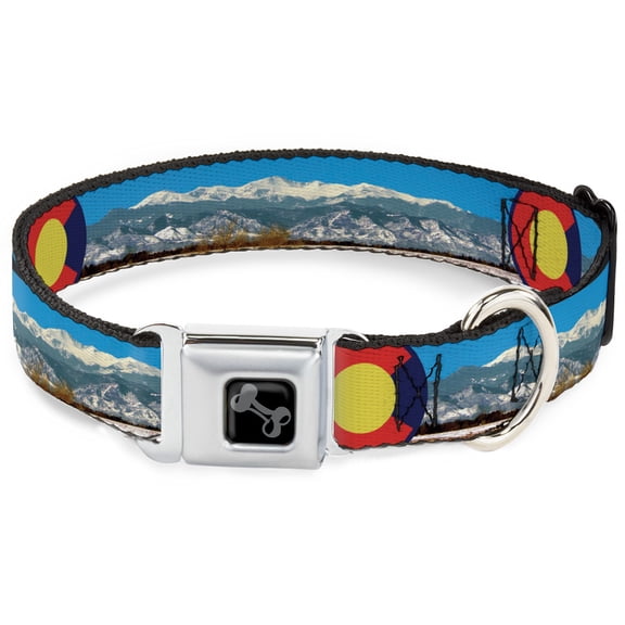 Buckle-Down Pet Collar, Dog Collar Metal Seatbelt Buckle, Colorado Mount Evans Vivid Landscape Colorado Flag Icon, 9.5 to 13 Inches 1.0 Inch Wide