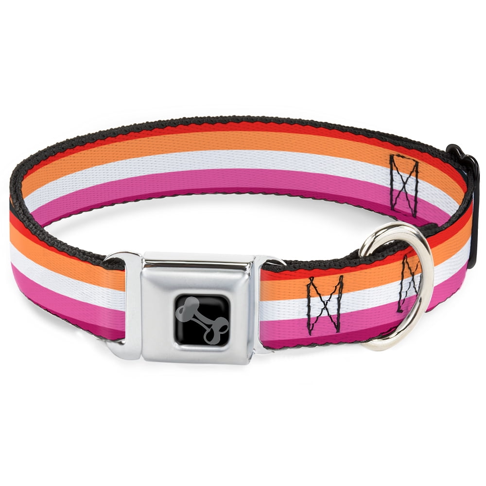 Buckle-Down Pet Collar, Dog Collar Metal Seatbelt Buckle, Flag Lesbian