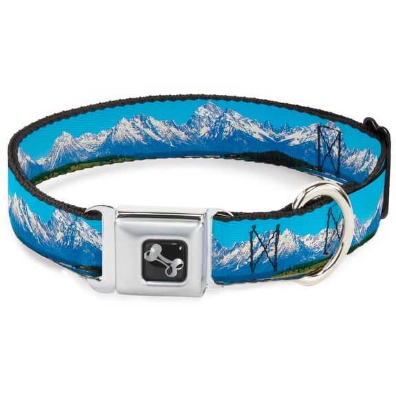 Buckle-Down Pet Collar, Dog Collar Metal Seatbelt Buckle, Landscape Snowy Mountains, 9.5 to 13 Inches 1.0 Inch Wide