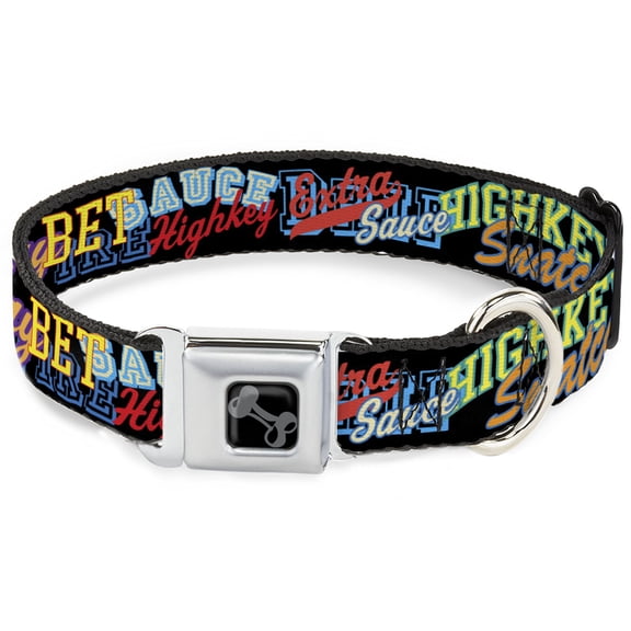 Buckle-Down Pet Collar, Dog Collar Metal Seatbelt Buckle, Slang Verbiage Stacked Black Multi Color, 15 to 24 Inches 1.0 Inch Wide