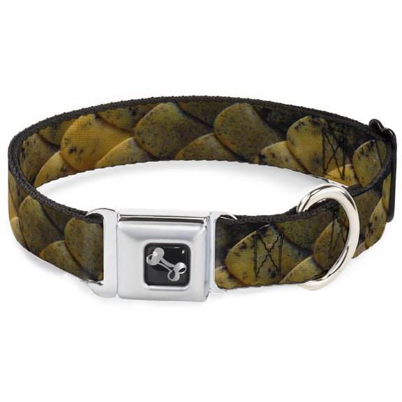 Buckle-Down Pet Collar, Dog Collar Metal Seatbelt Buckle, Snake Skin Close Up, 15 to 24 Inches 1.0 Inch Wide