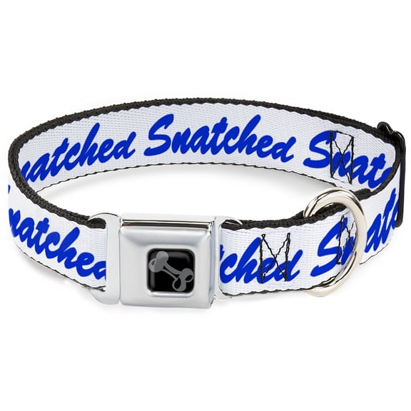Buckle-Down Pet Collar, Dog Collar Metal Seatbelt Buckle, Snatched Script White Blue, 15 to 24 Inches 1.0 Inch Wide