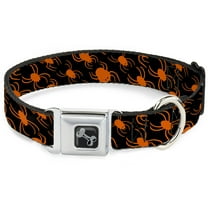Buckle-Down Pet Collar, Dog Collar Metal Seatbelt Buckle, Spider Silhouettes Black Orange, 9.5 to 13 Inches 1.0 Inch Wide