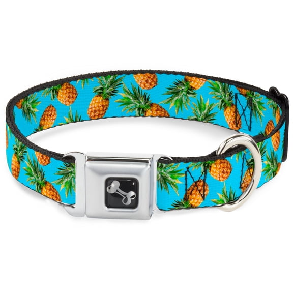 Buckle-Down Pet Collar, Dog Collar Metal Seatbelt Buckle, Vivid Pineapples Scattered Blue, 9.5 to 13 Inches 1.0 Inch Wide