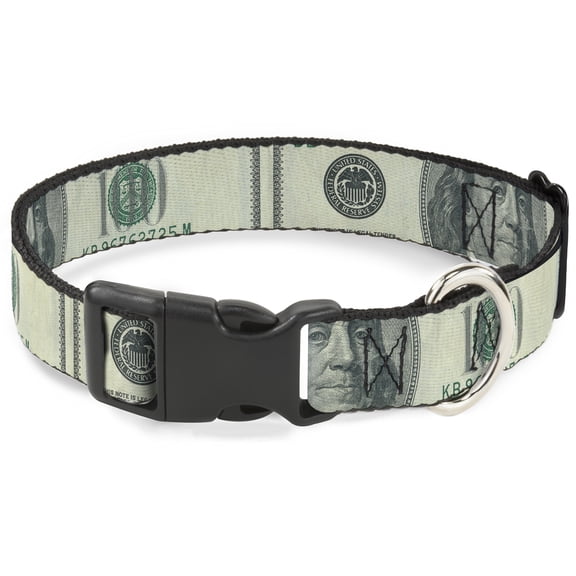 Buckle-Down Pet Collar, Dog Collar Plastic Buckle, 100 Dollar Bill Close Up, 15 to 24 Inches 1.0 Inch Wide