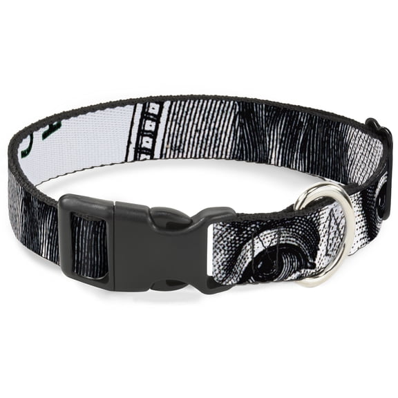 Buckle-Down Pet Collar, Dog Collar Plastic Buckle, 100 Dollar Bill Close Up White Black, 11 to 16.5 Inches 1.0 Inch Wide