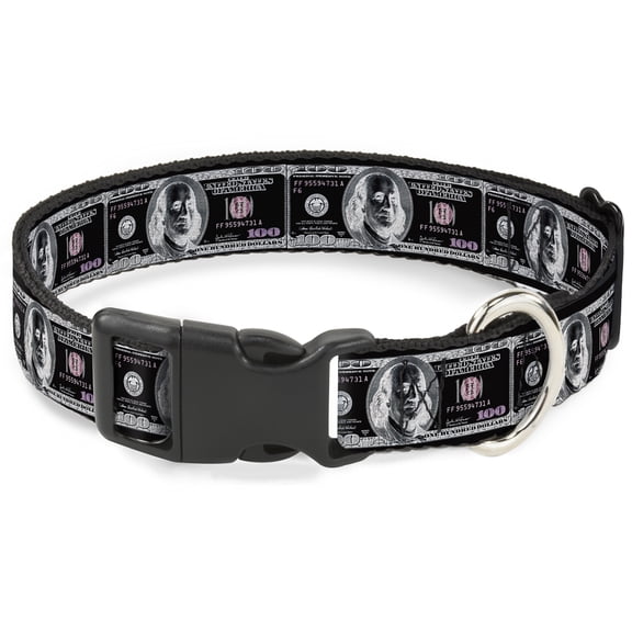 Buckle-Down Pet Collar, Dog Collar Plastic Buckle, 100 Dollar Bill X Ray Black White, 15 to 24 Inches 1.0 Inch Wide