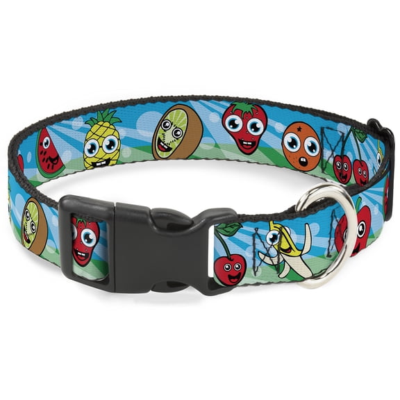 Buckle-Down Pet Collar, Dog Collar Plastic Buckle, Fruit Cartoon, 15 to 24 Inches 1.0 Inch Wide