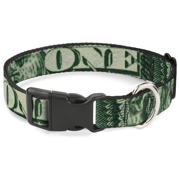 Buckle-Down Pet Collar, Dog Collar Plastic Buckle, One Dollar Bill Eye of Providence Bald Eagle Close Up, 9.5 to 13 Inches 1.0 Inch Wide