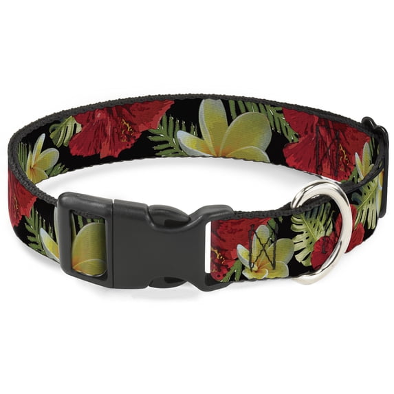 Buckle-Down Pet Collar, Dog Collar Plastic Buckle, Tropical Floral Collage Black Red Orange, 15 to 24 Inches 1.0 Inch Wide