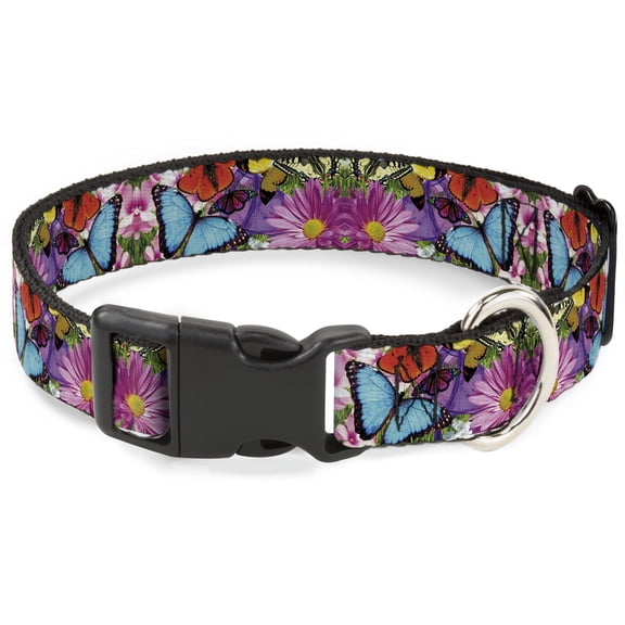 Buckle-Down Pet Collar, Dog Collar Plastic Buckle, Vivid Butterfly Garden, 9.5 to 14.5 Inches 0.5 Inch Wide
