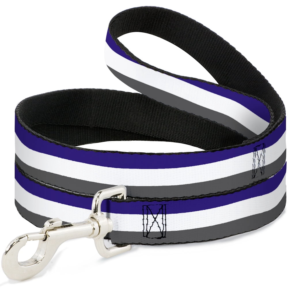 Buckle-Down Pet Leash, Dog Leash, Stripes Purple White Gray, 6 Feet Long 1.0 Inch Wide