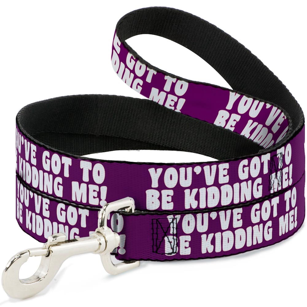 Buckle-Down Pet Leash, Dog Leash, Youve Got to Be Kidding Me Purple White, 6 Feet Long 1.0 Inch Wide