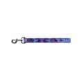 thumbnail image 1 of Buckle-Down Pet Leash - TJ-Hummingbird - 6 Feet Long - 1.5" Wide, 1 of 3