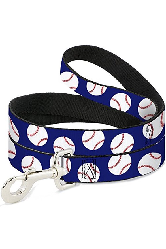 Pet Leash