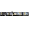 thumbnail image 1 of buckle-down tinker bell garden poses disney martingale plastic clip collar, 1 of 1
