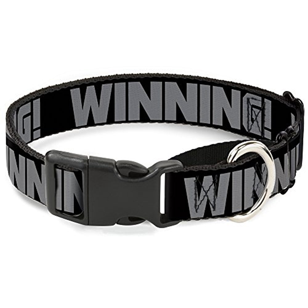 buckle-down winning! black gray martingale dog collar