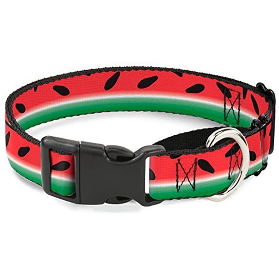 Buckle-Down Watermelon Stripe Red Green Black Martingale Dog Collar