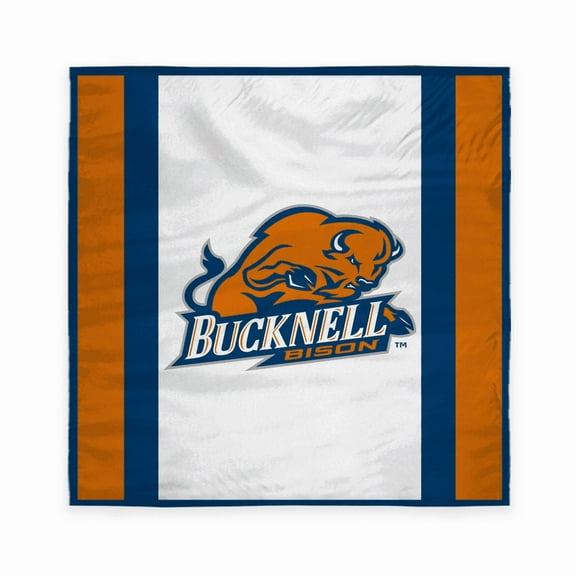 Bucknell Bisons Tablecover, 48in. Wide x 48in. Long, Polyester, Party supplies, Bisons tablecloth for Graduation, football tailgating, and birthday party decorations