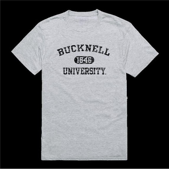 Bucknell University Bisons Distressed Arch College T-Shirt, Heather Grey - Extra Large
