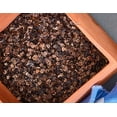 thumbnail image 1 of Buckwheat Hulls Pillow & Cushion Fill - 100 lbs, 1 of 4