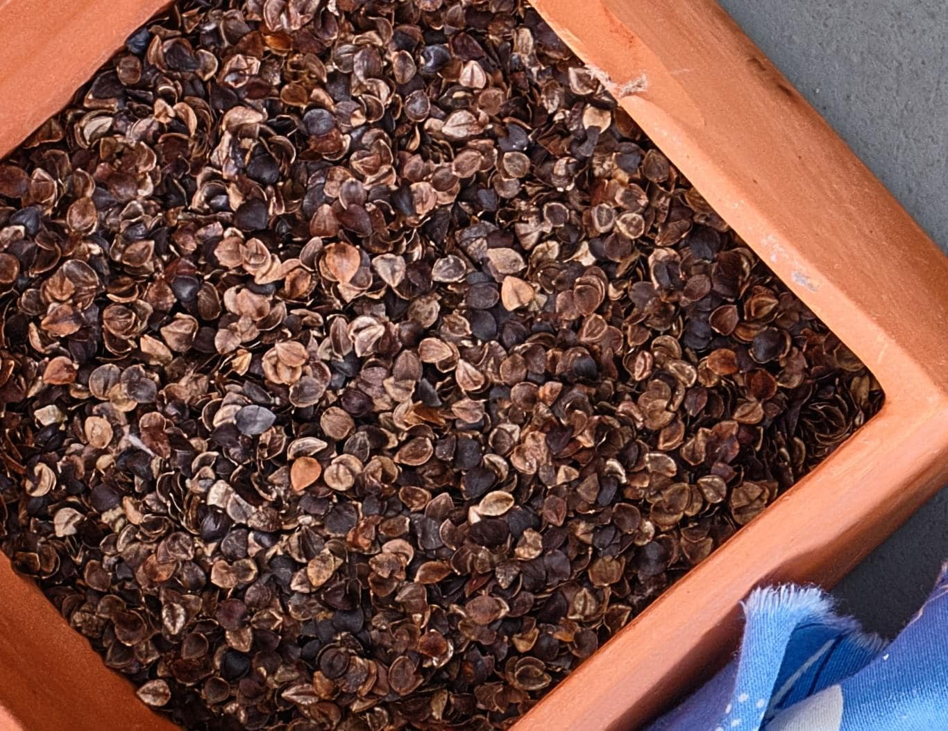 White Lotus Home Buckwheat Hulls Pillow & Cushion Filler Stuffing 5