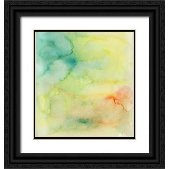 Buddenhaugen, Sophia 15x16 Black Ornate Wood Framed with Double Matting Museum Art Print Titled - Garden Abstraction 31