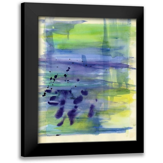 Buddenhaugen, Sophia 20x24 Black Modern Framed Museum Art Print Titled - Garden Abstraction 32