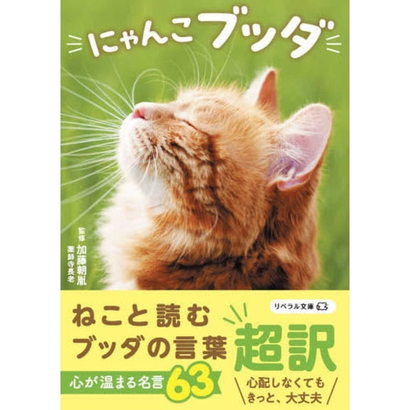 Buddha's Teaching with Kitty Cats, (Paperback)