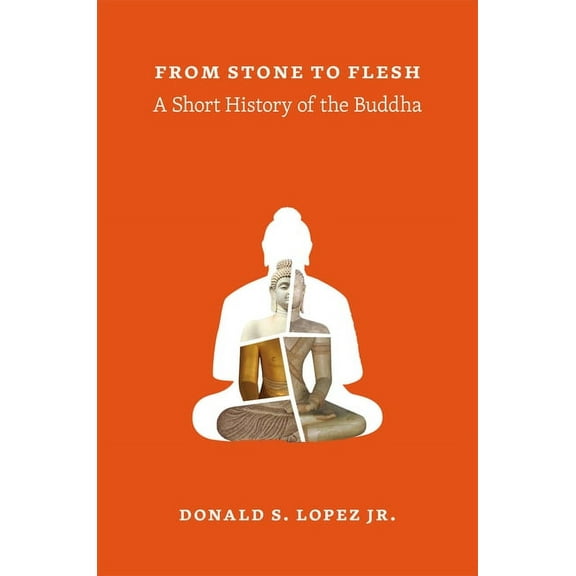 Buddhism and Modernity From Stone to Flesh: A Short History of the Buddha, (Paperback)