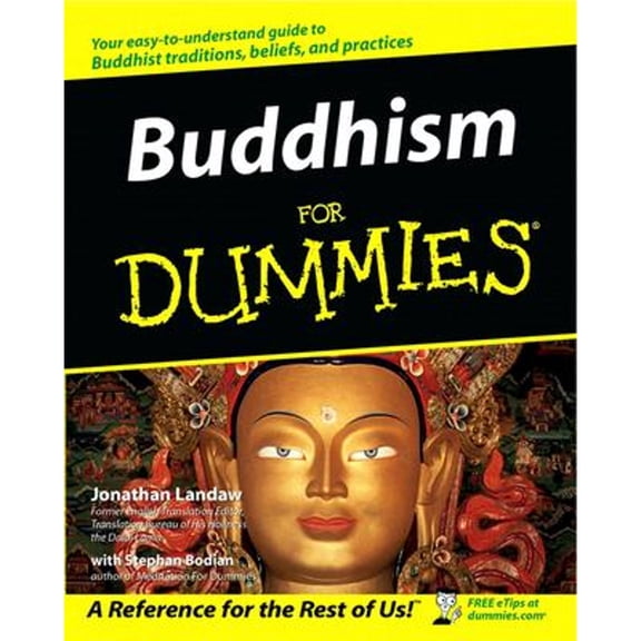 Pre-Owned Buddhism for Dummies (Paperback) by Jonathan Landaw, Stephan Bodian