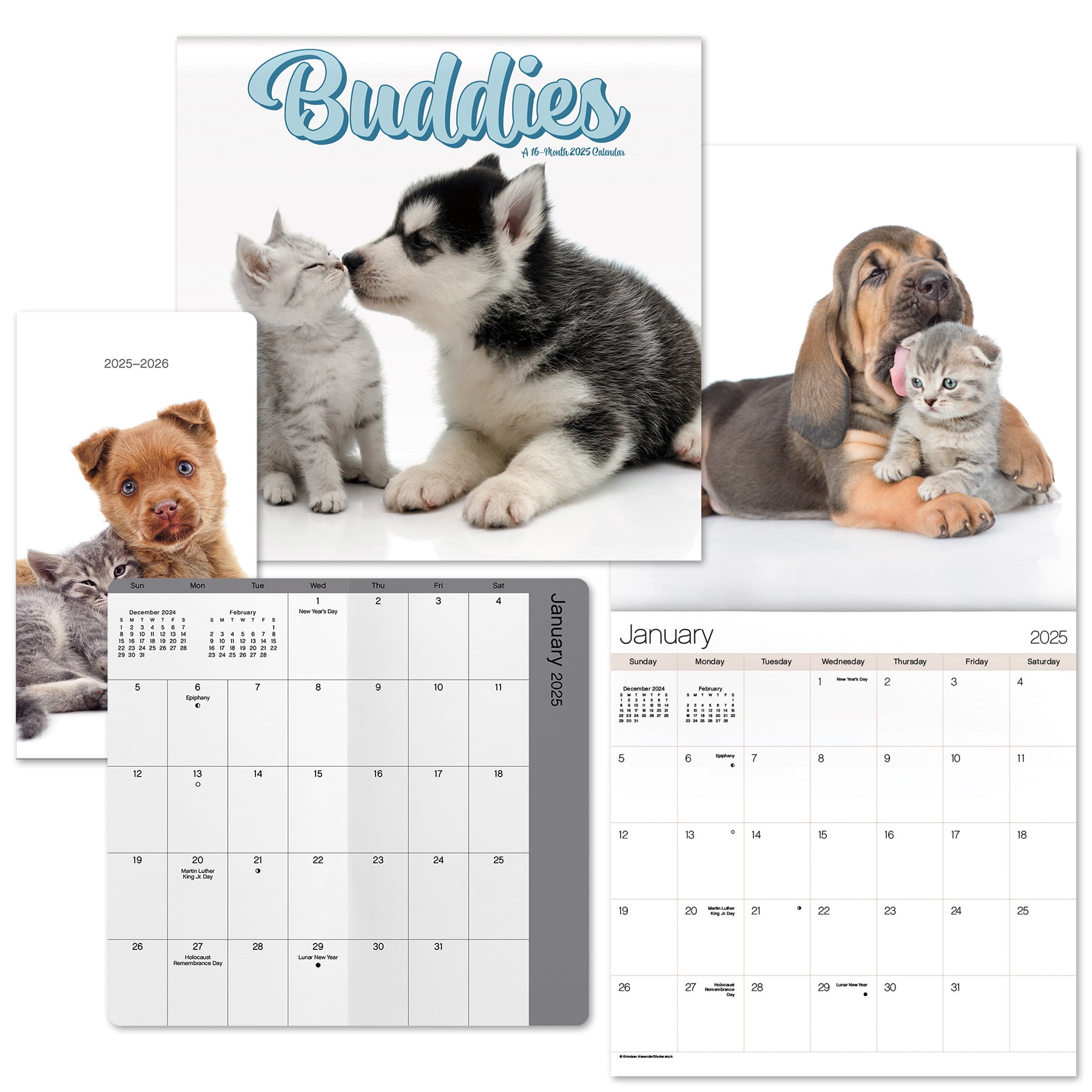 Buddies 2025 Calendar and Pocket Planner