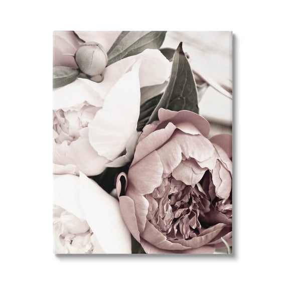 Budding Peony Petals Close Up Botanical & Floral Photograph Gallery Wrapped Canvas Print Wall Art